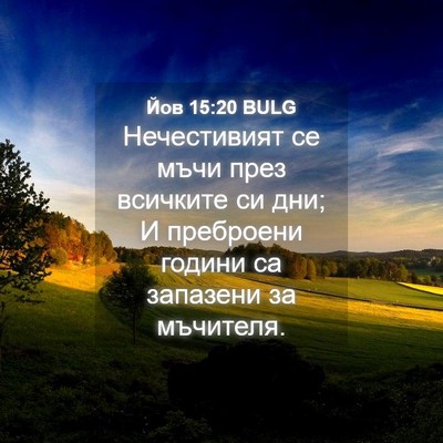 Picture 04 - Йов 15:20 BULG - Нечестивият се мъчи през - Bible Verse Picture