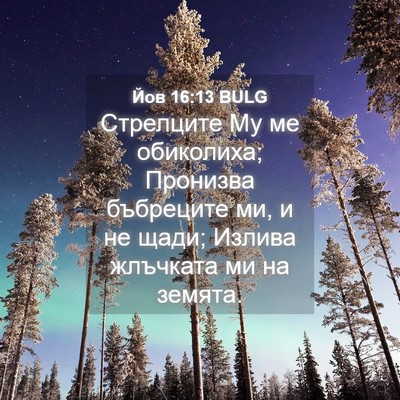 Picture 04 - Йов 16:13 BULG - Стрелците Му ме обиколиха; - Bible Verse Picture
