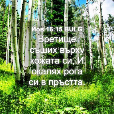 Picture 04 - Йов 16:15 BULG - Вретище съших върху кожата - Bible Verse Picture