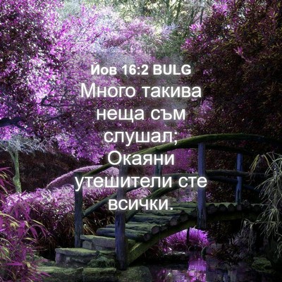 Picture 04 - Йов 16:2 BULG - Много такива неща съм - Bible Verse Picture