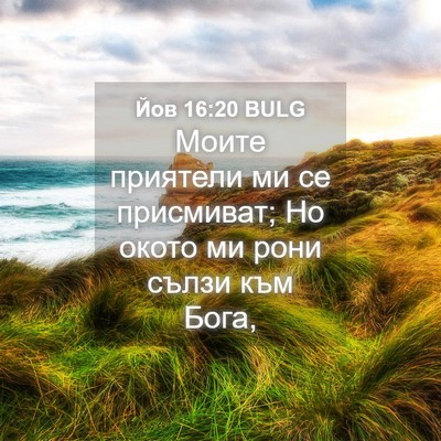Picture 04 - Йов 16:20 BULG - Моите приятели ми се - Bible Verse Picture