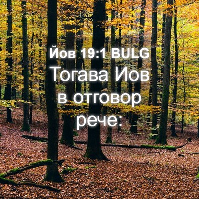Picture 04 - Йов 19:1 BULG - Тогава Иов в отговор - Bible Verse Picture
