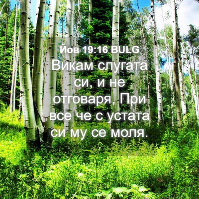 Picture 04 - Йов 19:16 BULG - Викам слугата си, и не - Bible Verse Picture