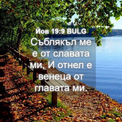 Picture 04 - Йов 19:9 BULG - Съблякъл ме е от славата - Bible Verse Picture