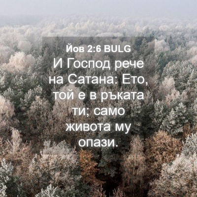 Picture 04 - Йов 2:6 BULG - И Господ рече на Сатана: - Bible Verse Picture