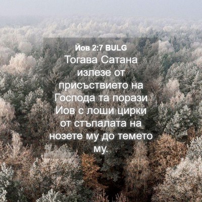 Picture 04 - Йов 2:7 BULG - Тогава Сатана излезе от - Bible Verse Picture