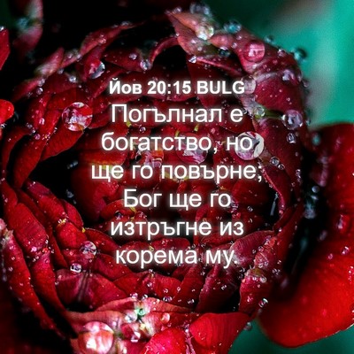 Picture 04 - Йов 20:15 BULG - Погълнал е богатство, но ще - Bible Verse Picture