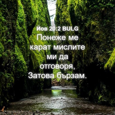 Picture 04 - Йов 20:2 BULG - Понеже ме карат мислите ми - Bible Verse Picture