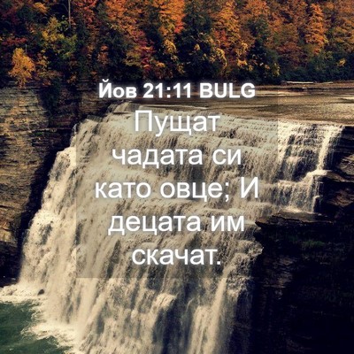 Picture 04 - Йов 21:11 BULG - Пущат чадата си като овце; - Bible Verse Picture