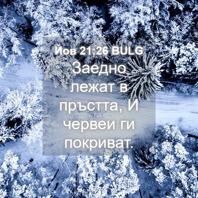 Picture 04 - Йов 21:26 BULG - Заедно лежат в пръстта, И - Bible Verse Picture