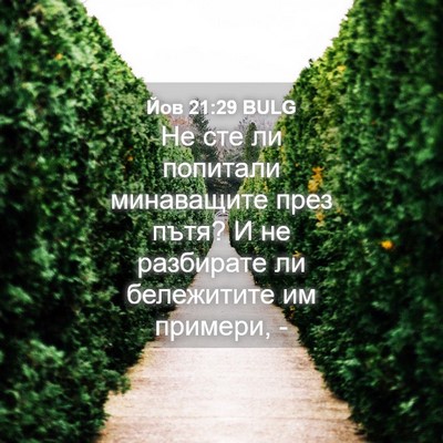 Picture 04 - Йов 21:29 BULG - Не сте ли попитали - Bible Verse Picture