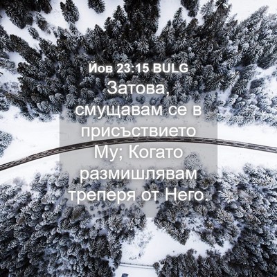 Picture 04 - Йов 23:15 BULG - Затова, смущавам се в - Bible Verse Picture