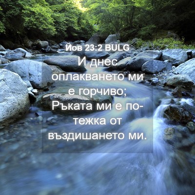 Picture 04 - Йов 23:2 BULG - И днес оплакването ми е - Bible Verse Picture