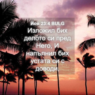 Picture 04 - Йов 23:4 BULG - Изложил бих делото си пред - Bible Verse Picture