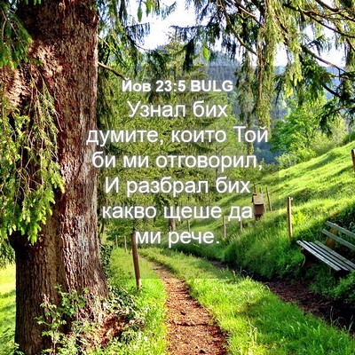 Picture 04 - Йов 23:5 BULG - Узнал бих думите, които Той - Bible Verse Picture