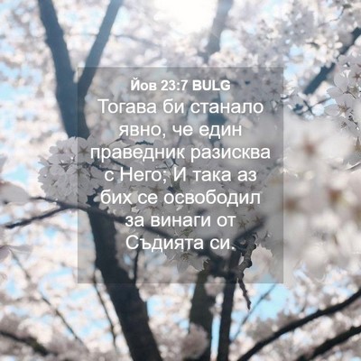 Picture 04 - Йов 23:7 BULG - Тогава би станало явно, че - Bible Verse Picture