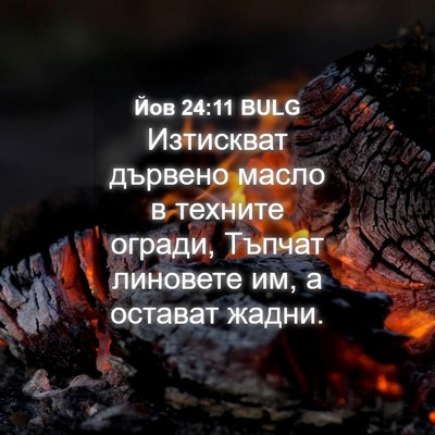 Picture 04 - Йов 24:11 BULG - Изтискват дървено масло в - Bible Verse Picture