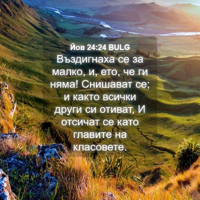 Picture 04 - Йов 24:24 BULG - Въздигнаха се за малко, и, - Bible Verse Picture