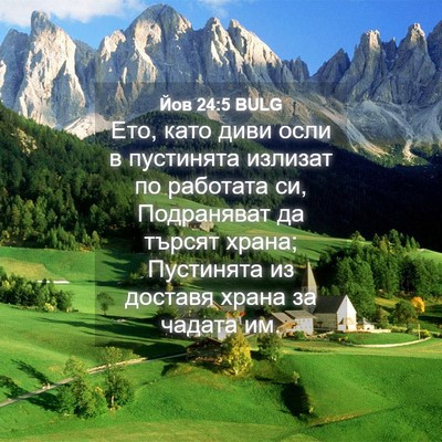 Picture 04 - Йов 24:5 BULG - Ето, като диви осли в - Bible Verse Picture