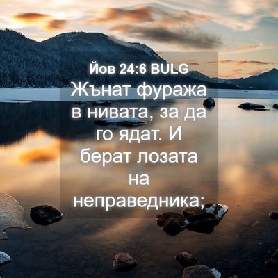 Picture 04 - Йов 24:6 BULG - Жънат фуража в нивата, за - Bible Verse Picture