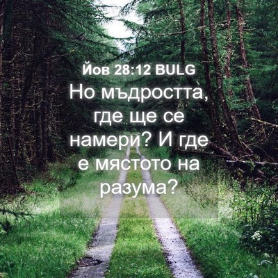 Picture 04 - Йов 28:12 BULG - Но мъдростта, где ще се - Bible Verse Picture