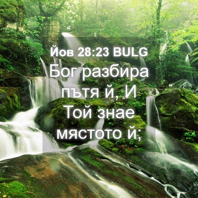 Picture 04 - Йов 28:23 BULG - Бог разбира пътя й, И Той - Bible Verse Picture