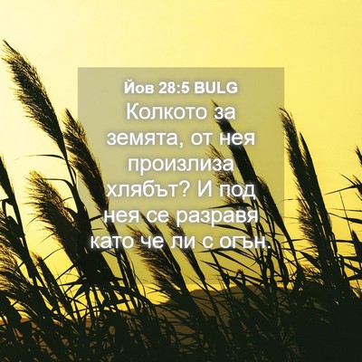 Picture 04 - Йов 28:5 BULG - Колкото за земята, от нея - Bible Verse Picture