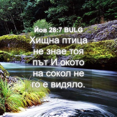 Picture 04 - Йов 28:7 BULG - Хищна птица не знае тоя път - Bible Verse Picture