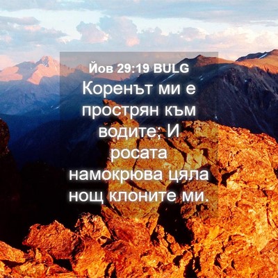 Picture 04 - Йов 29:19 BULG - Коренът ми е прострян към - Bible Verse Picture