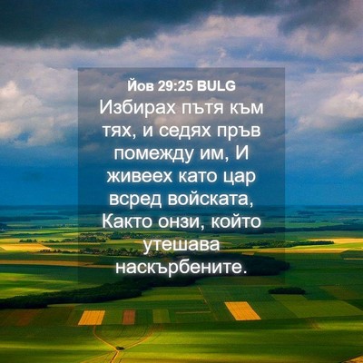 Picture 04 - Йов 29:25 BULG - Избирах пътя към тях, и - Bible Verse Picture
