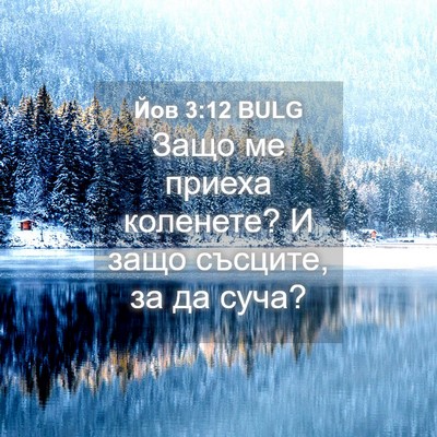 Picture 04 - Йов 3:12 BULG - Защо ме приеха коленете? И - Bible Verse Picture