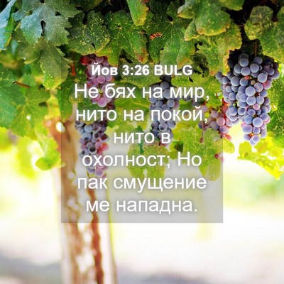 Picture 04 - Йов 3:26 BULG - Не бях на мир, нито на - Bible Verse Picture