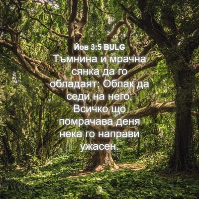 Picture 04 - Йов 3:5 BULG - Тъмнина и мрачна сянка да - Bible Verse Picture