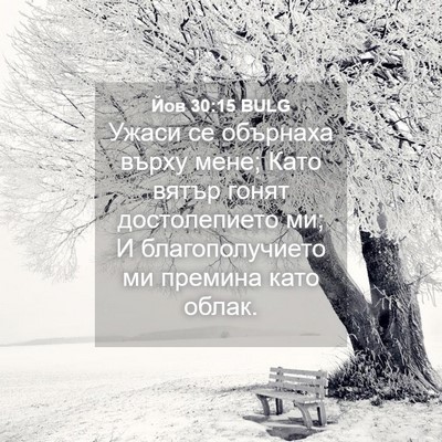 Picture 04 - Йов 30:15 BULG - Ужаси се обърнаха върху - Bible Verse Picture