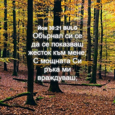 Picture 04 - Йов 30:21 BULG - Обърнал си се да се - Bible Verse Picture
