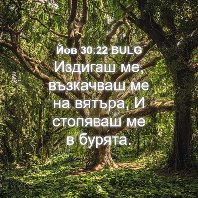 Picture 04 - Йов 30:22 BULG - Издигаш ме, възкачваш ме на - Bible Verse Picture