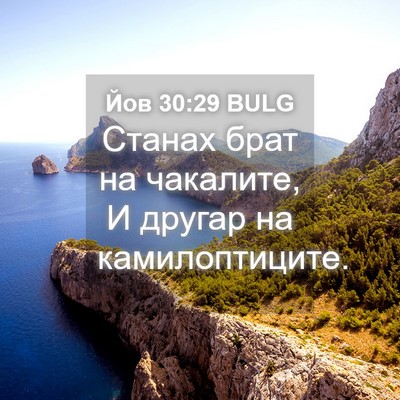 Picture 04 - Йов 30:29 BULG - Станах брат на чакалите, И - Bible Verse Picture