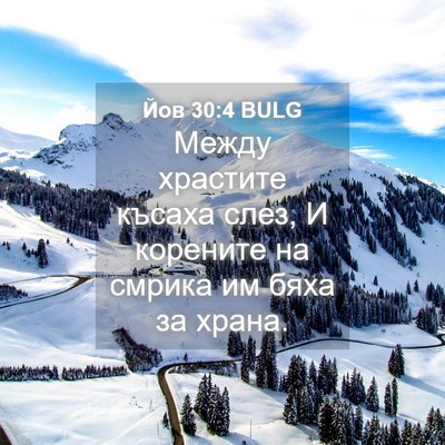 Picture 04 - Йов 30:4 BULG - Между храстите късаха - Bible Verse Picture