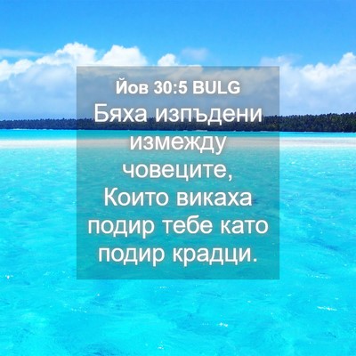 Picture 04 - Йов 30:5 BULG - Бяха изпъдени измежду - Bible Verse Picture