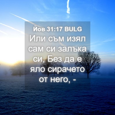 Picture 04 - Йов 31:17 BULG - Или съм изял сам си залъка - Bible Verse Picture