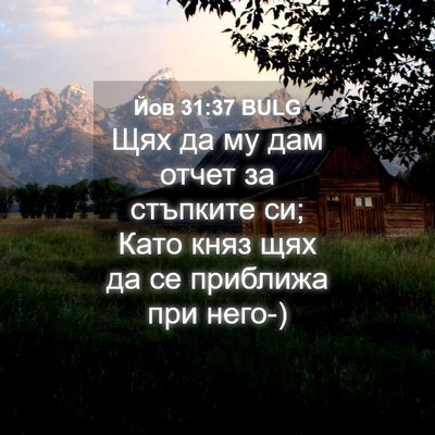 Picture 04 - Йов 31:37 BULG - Щях да му дам отчет за - Bible Verse Picture