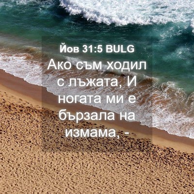 Picture 04 - Йов 31:5 BULG - Ако съм ходил с лъжата, И - Bible Verse Picture