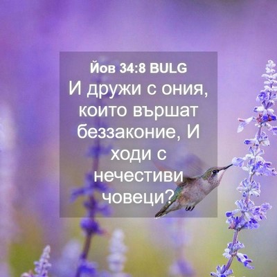 Picture 04 - Йов 34:8 BULG - И дружи с ония, които - Bible Verse Picture