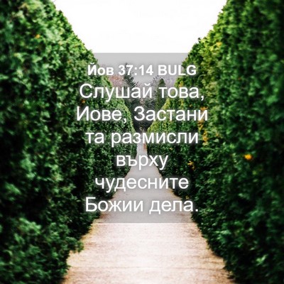 Picture 04 - Йов 37:14 BULG - Слушай това, Иове, Застани - Bible Verse Picture