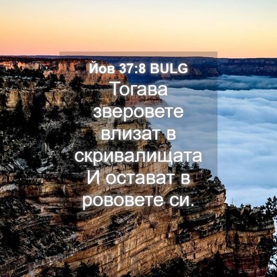 Picture 04 - Йов 37:8 BULG - Тогава зверовете влизат в - Bible Verse Picture