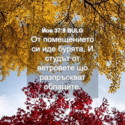 Picture 04 - Йов 37:9 BULG - От помещението си иде - Bible Verse Picture