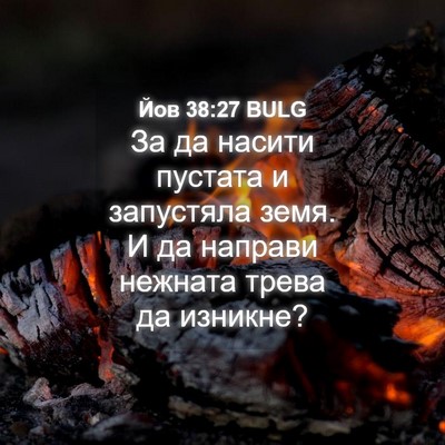 Picture 04 - Йов 38:27 BULG - За да насити пустата и - Bible Verse Picture