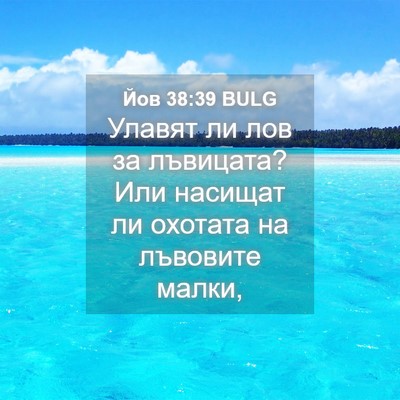 Picture 04 - Йов 38:39 BULG - Улавят ли лов за лъвицата? - Bible Verse Picture
