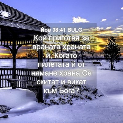 Picture 04 - Йов 38:41 BULG - Кой приготвя за враната - Bible Verse Picture