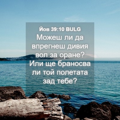 Picture 04 - Йов 39:10 BULG - Можеш ли да впрегнеш дивия - Bible Verse Picture